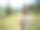 快乐健康的女人徒步登山在夏季享受自然和户外活动图片下载