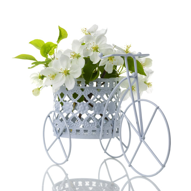 自行车花篮里的白花孤立在白色的背景上图片下载