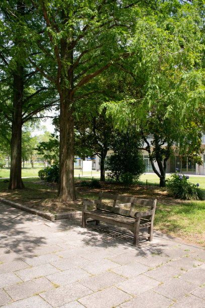 初夏绿园图片下载