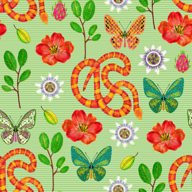 奇异无缝图案蛇，蝴蝶，夏天的花和果实图片下载