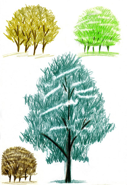 一套用彩色铅笔画的树和灌木。图片下载