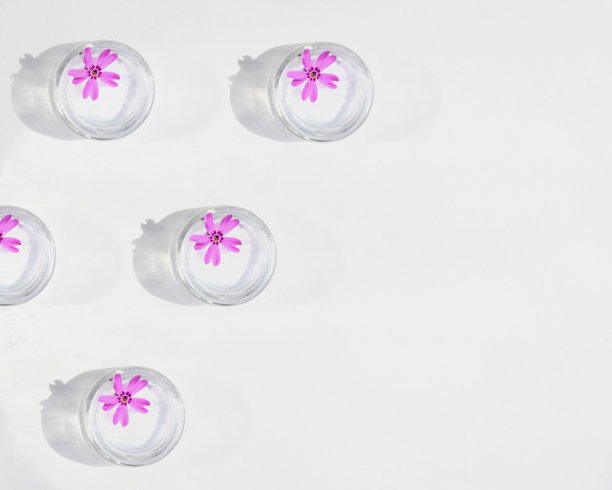 健康美容Spa医疗护肤理念以化妆品洗液膏霜瓶包装管在白色背景上装饰以粉色花朵的假山在白色背景上。副本的空间。图片下载