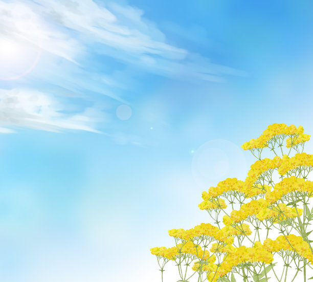 黄色的父王在天空中图片下载