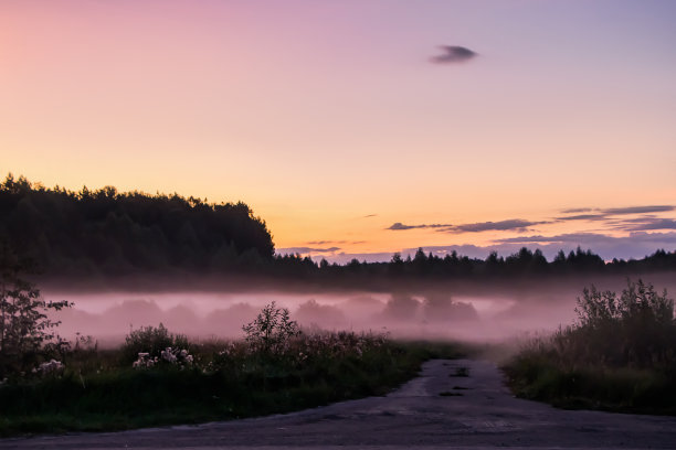 日落时的粉红色雾。森林里大自然的暮色。模糊的背景设计图片下载