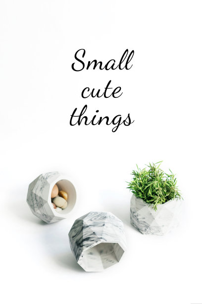 小的花盆。图片下载