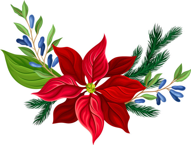 用冷杉树枝作圣诞花图片下载