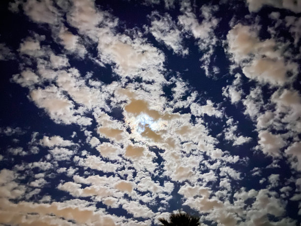 亚利桑那州的夜空图片下载