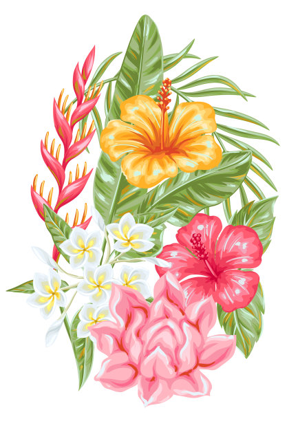 装饰元素与热带花卉和图片下载