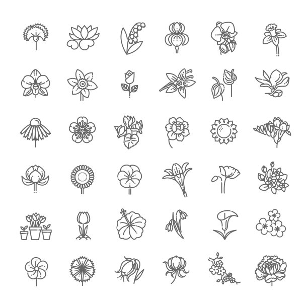 设置花卉图标在平面设计图片下载