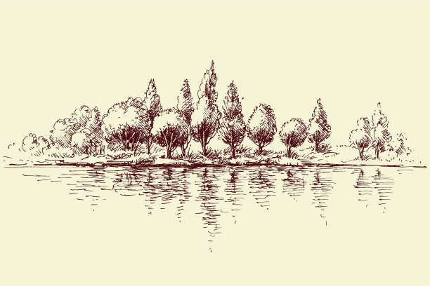 森林倒影在水中，树木全景上图片下载