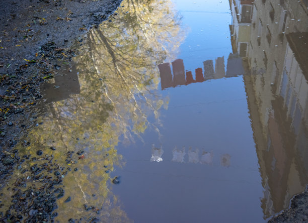 自然背景和一个大水坑的观点在道路上图片下载