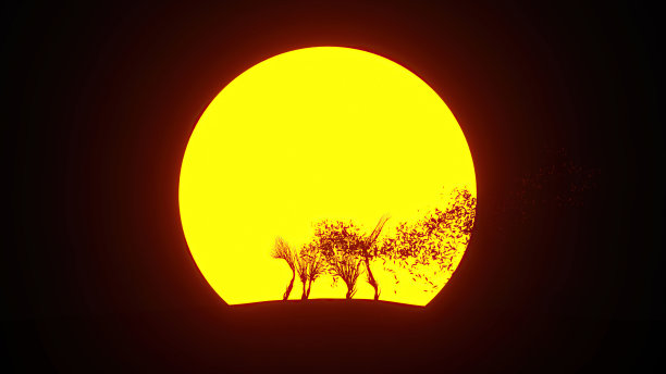 生长中的树的剪影，形状像一只猫。环保的概念。图片下载