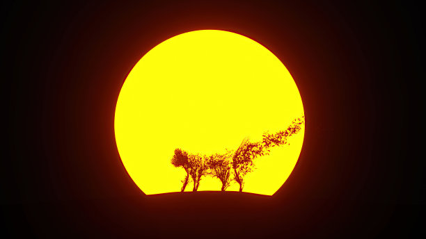 生长中的树的剪影，形状像一只猫。环保的概念。图片下载