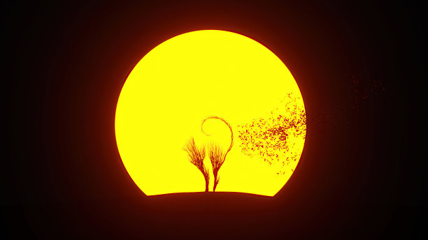 生长中的树的剪影，形状像一只猫。环保的概念。图片下载