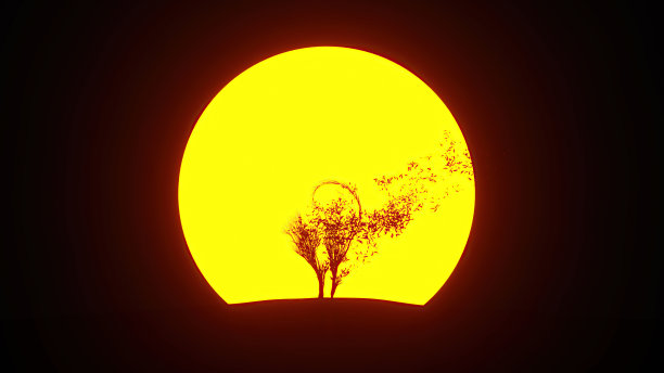 生长中的树的剪影，形状像一只猫。环保的概念。图片下载