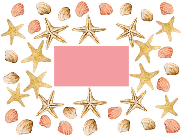 画海星和贝壳。漂亮的卡片。特写镜头图片下载