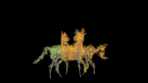 树长得像马。环保的概念。图片下载