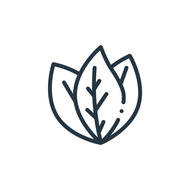 叶子矢量图标。叶子可编辑的中风。留下线性符号用于网络和移动应用程序，标志，印刷媒体。细线说明。矢量孤立轮廓绘制。图片下载