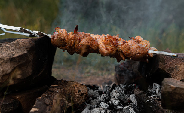 在火上烤肉。与家人在大自然中度过一个愉快的假期图片下载