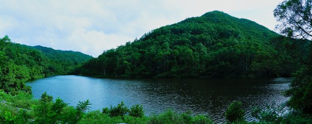 香港流水乡水塘。图片下载