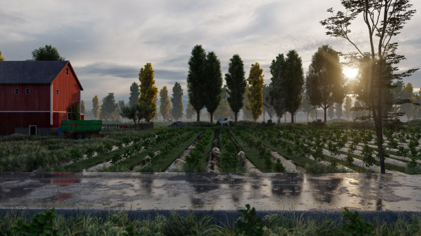 雨天农舍附近的农田图片下载