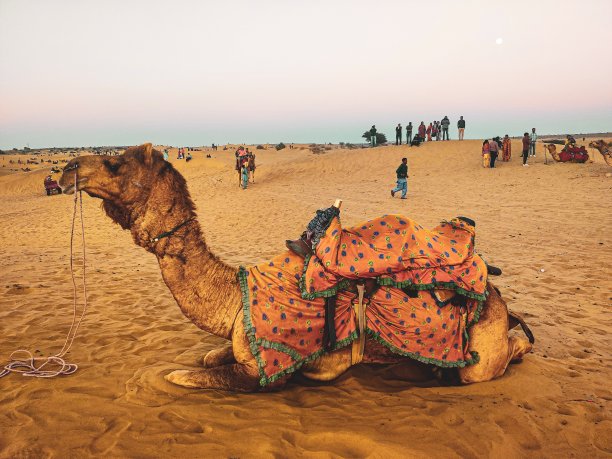 斋沙默尔图片下载