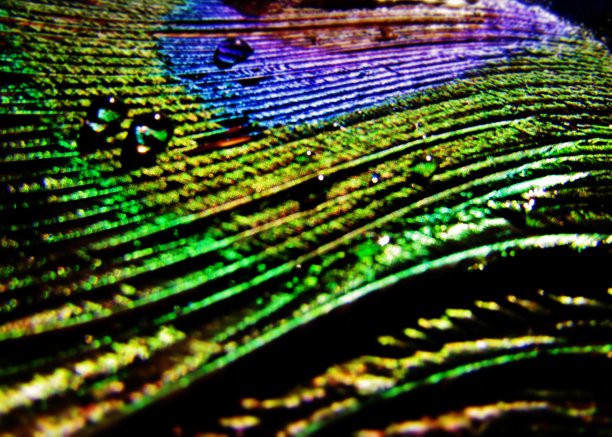 背景……图片下载