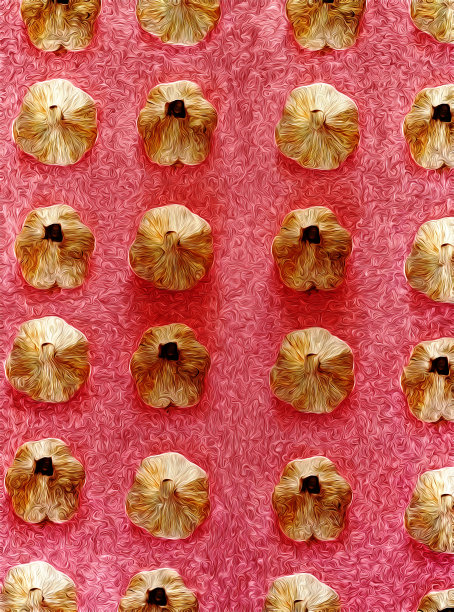 红色背景上的大蒜图案图片下载