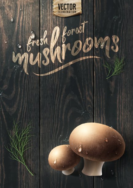 木桌上的新鲜森林蘑菇。图片下载