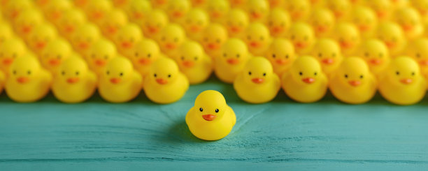 一大群黄色橡皮鸭，前面有一只已经离开人群的橡皮鸭，从人群中脱颖而出。场景设置在一个风化的，绿松石色的木制面板背景概念上代表水。图片下载