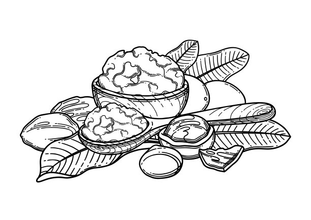 木碗和木勺内的乳木果植物和黄油的图形构图图片下载