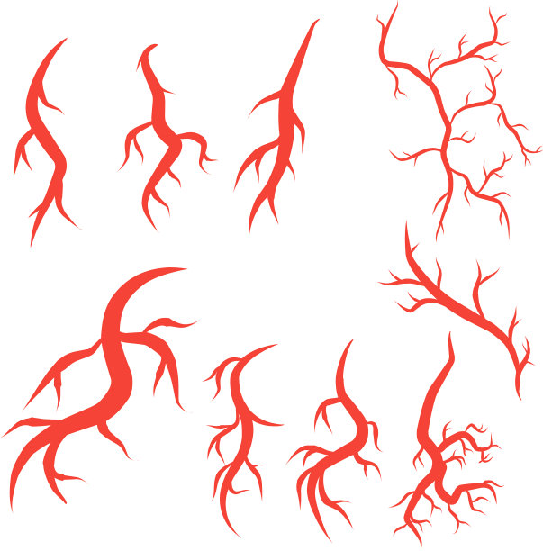 人类的动脉和静脉图片下载