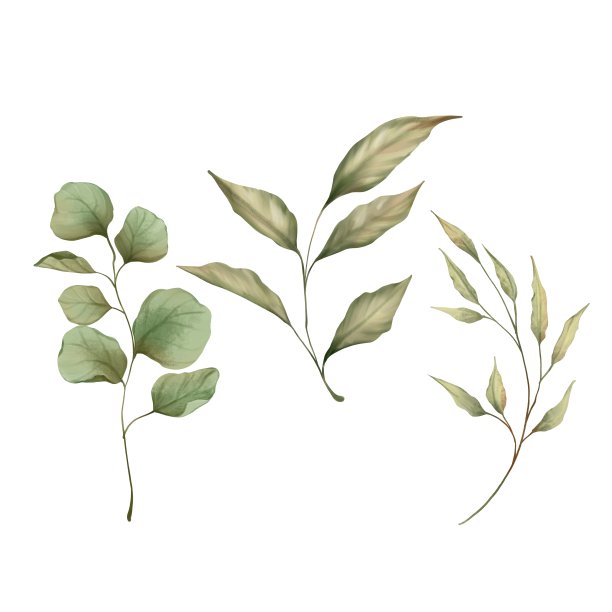 一套绿色的叶子在水彩风格图片下载