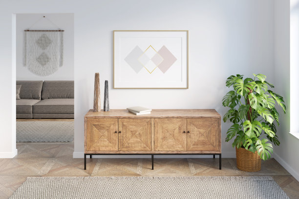 明亮的现代大厅，木质梳妆台上方有一幅水平海报，旁边是一盆植物，有一个门口可以俯瞰客厅。前视图。图片下载