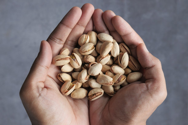 近距离观察手头的开心果图片下载