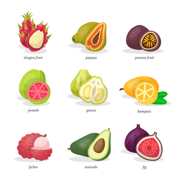 热带水果组图片下载