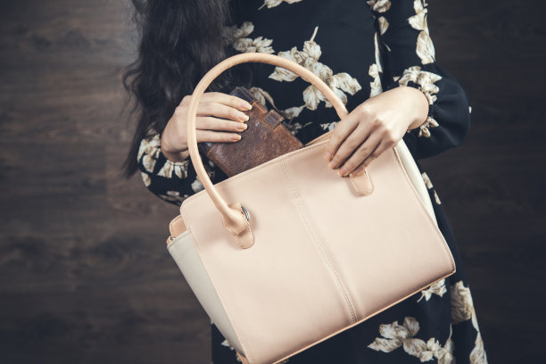 女士手提包和钱包图片下载