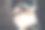 女士手提包和钱包图片下载