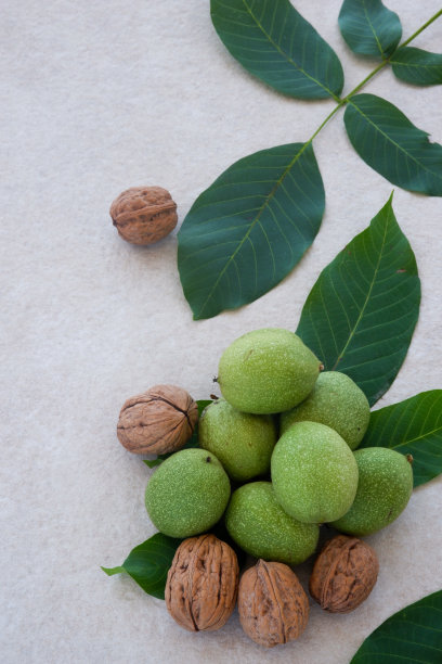 去壳和不去壳的新鲜核桃和树叶。图片下载