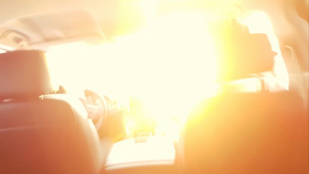 阳光所蒙蔽图片下载