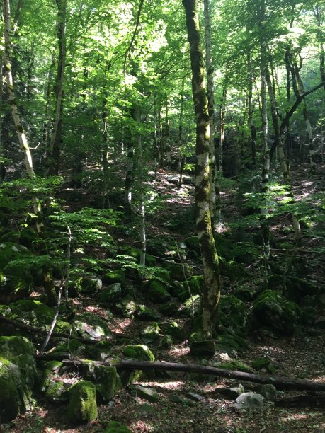 Ordesa景观图片下载