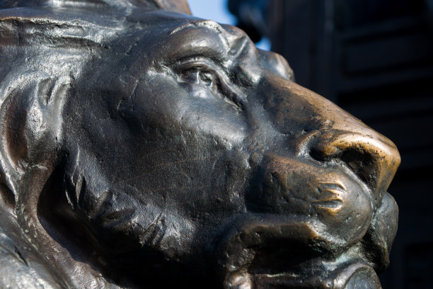 青铜狮子雕塑图片下载