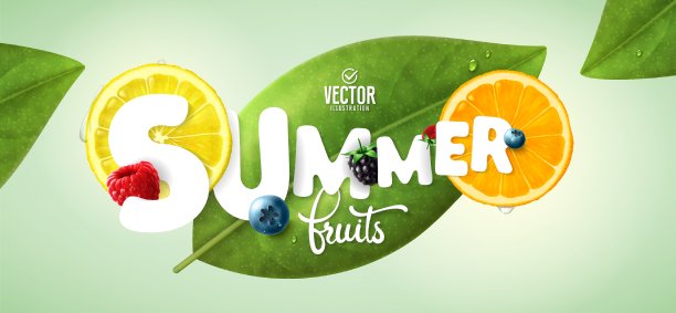 向量现实的夏季水果组成图片下载