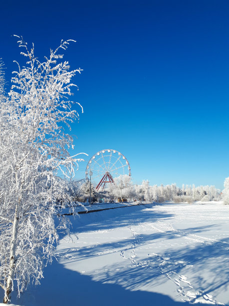 照片的冬天白色公园在白天与雪树和摩天轮与明亮的蓝色天空的背景图片下载