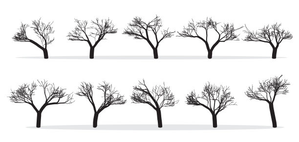 裸树剪影集。手绘孤立。秋天。春天。下降。向量图片下载