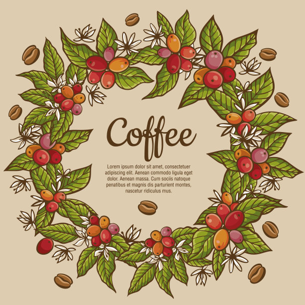 向量咖啡植物彩色横幅。广告设计模板图片下载