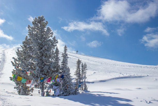 在一个阳光明媚的冬日里，俄罗斯南西伯利亚西萨彦山尔加基山脉的雪山边，一棵装饰着彩色传统佛教围巾的雪松图片下载