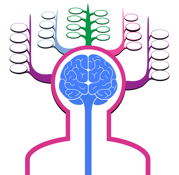 标志剪影的一个人的大脑正面视图。记忆细胞。孤立在白色背景上。图片下载