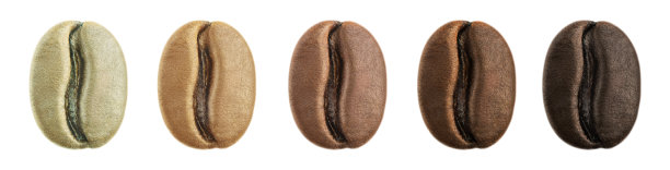 分离烘焙咖啡豆的阶段图片下载