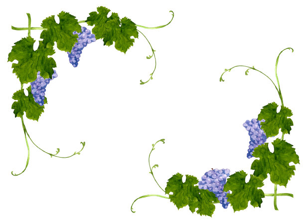 葡萄树框架图片下载
